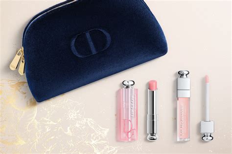 dior addict pouch